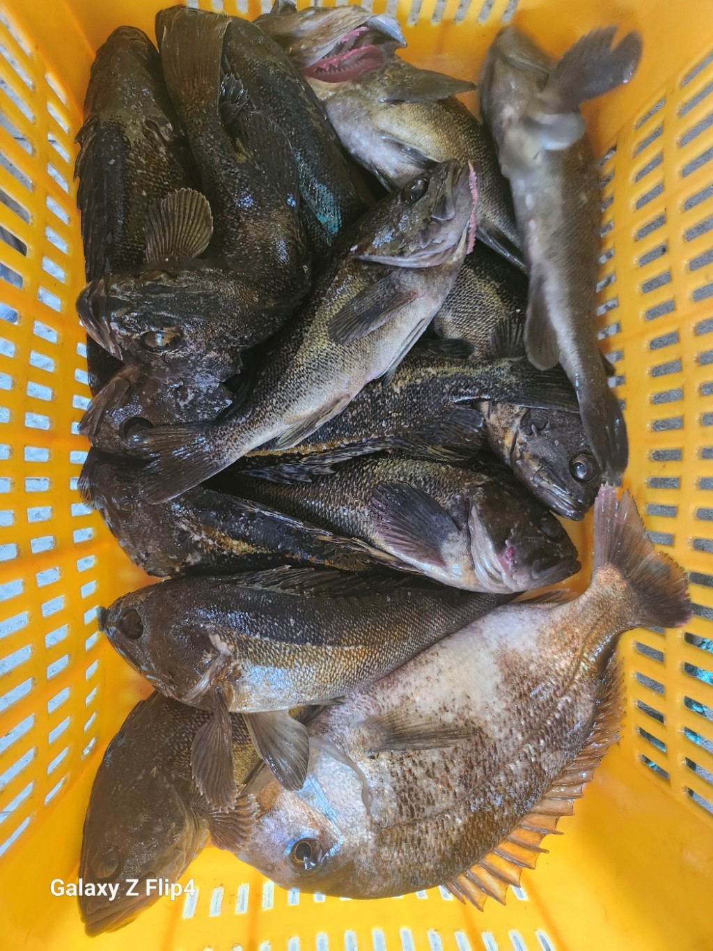 0acd32df5ecb31c280f79437f68b2634_1751793993_9905.jpg