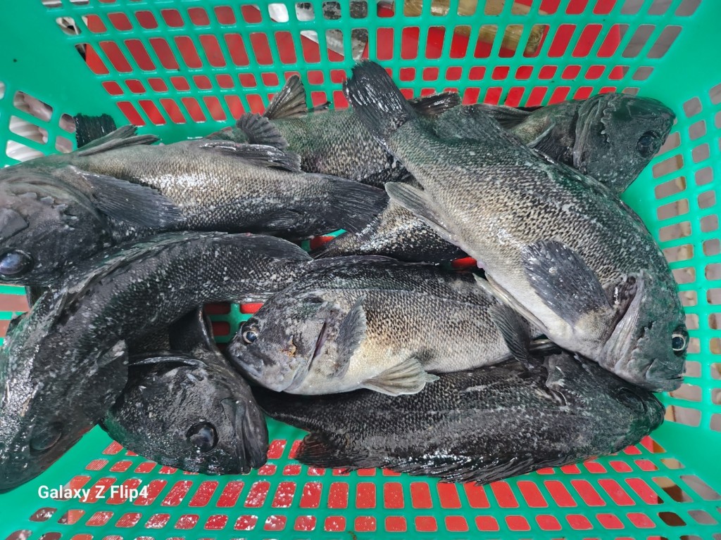 7230bd230519cc38cd54856665bdf00f_1751711376_3155.jpg