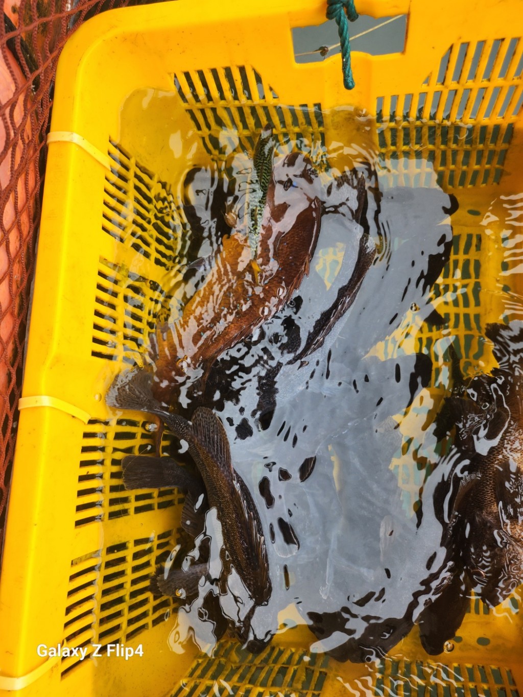 5df468a98d5386ce3446c11db349d0fe_1754994947_4231.jpg