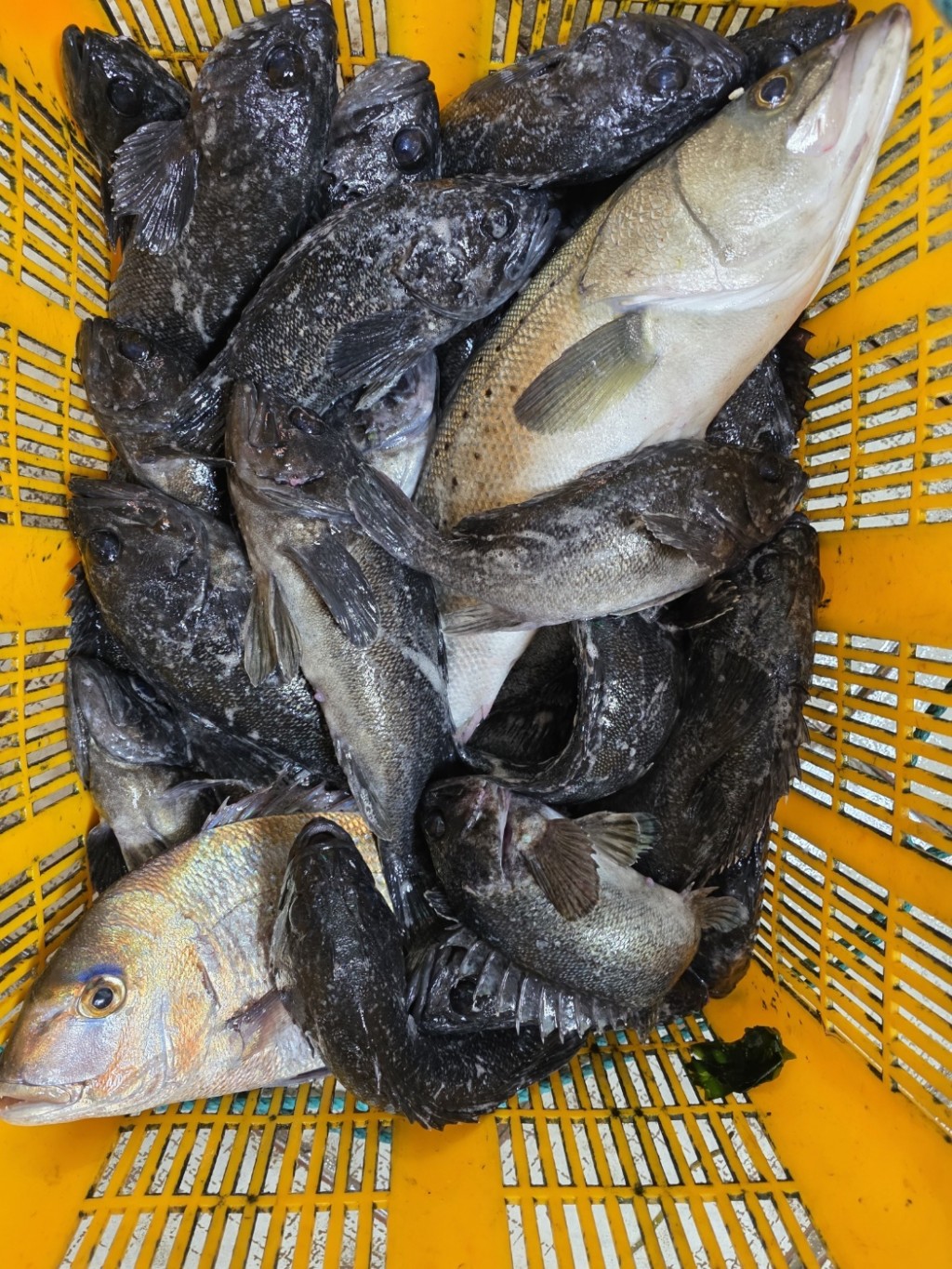 70a22f1fa884188610174915529491c6_1777455753_9087.jpg
