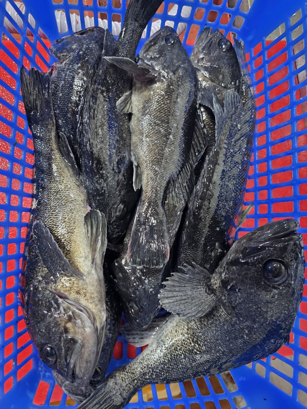 4c328dd8040f176ddd0e45873f5f9d63_1779021656_3021.jpg