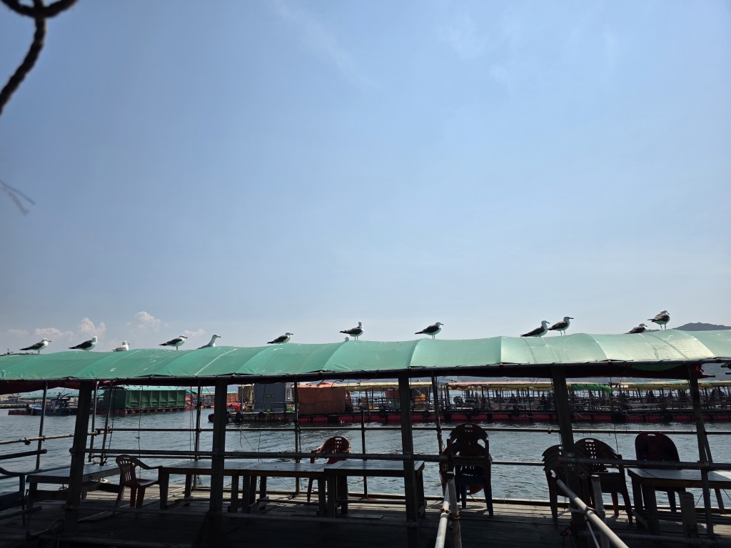 86002b15cc5c0d9cb65cd7309dbe049c_1781702272_8477.jpg