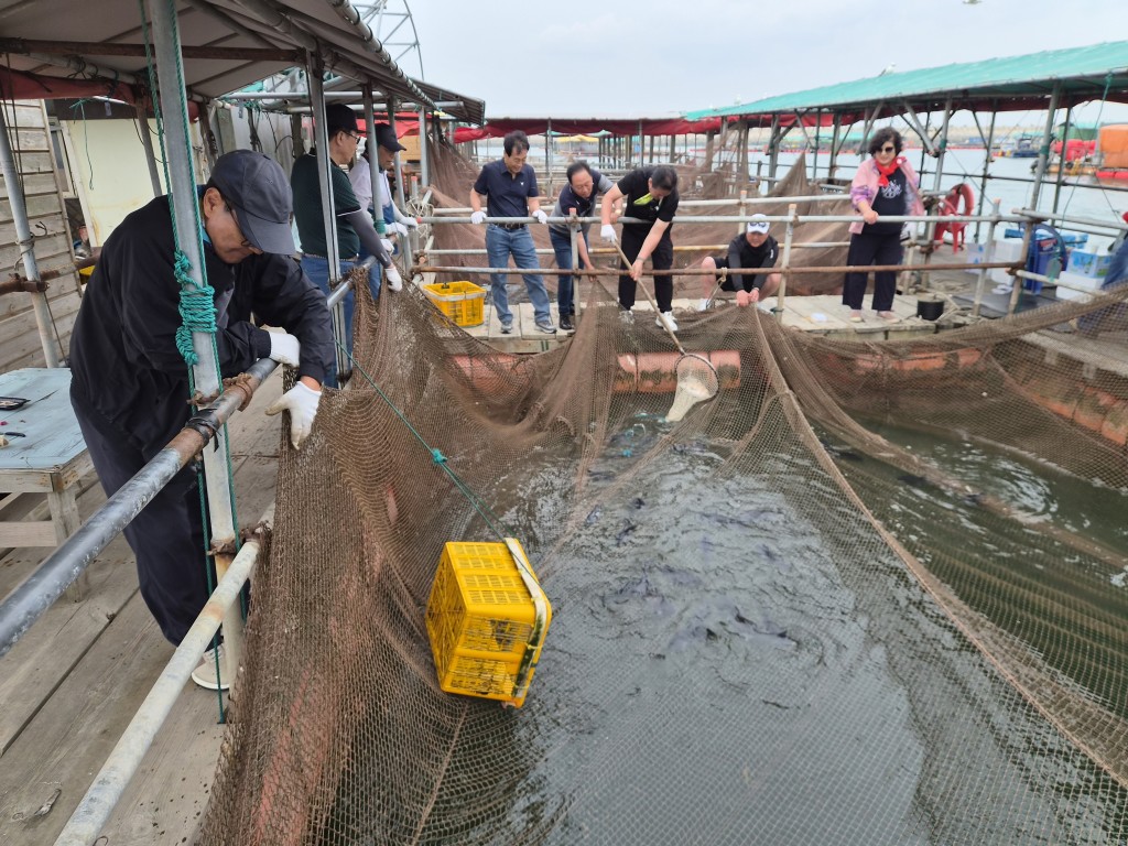 8b75a302b50df805e5f851fd26146fd6_1781873967_0759.jpg