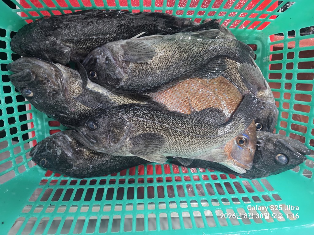 e3163a83145bcb6503c5e129f27f8e91_1788086249_6804.jpg