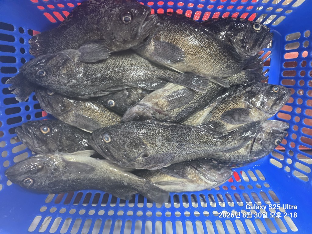 e3163a83145bcb6503c5e129f27f8e91_1788086250_6276.jpg