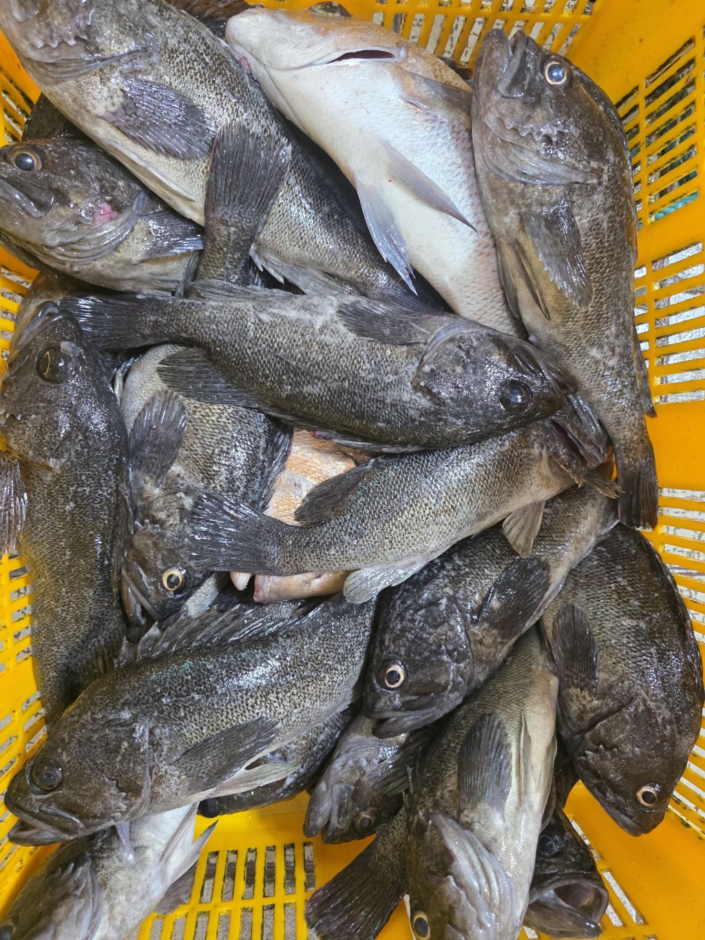 e59e665d976d5e57dba6068cc33e44fe_1786266720_2942.jpg