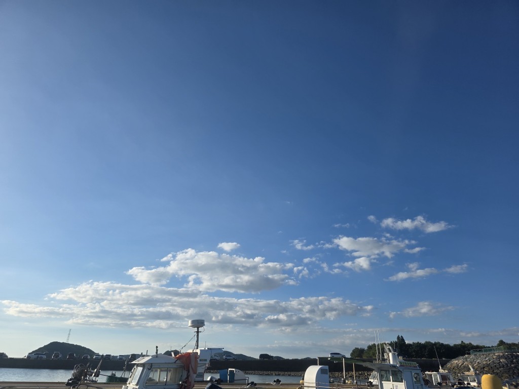 fa2e82c364920fd333a7c8b8142b58e2_1788598837_1208.jpg